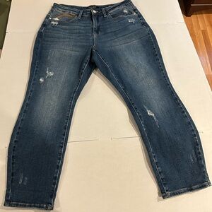 Judy Blue 16 W rainbow embroidered jeans